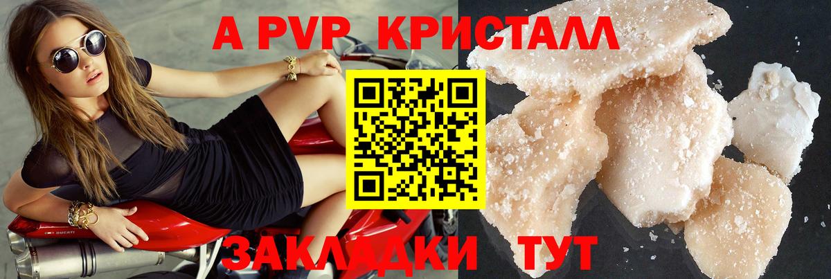 Alfa_PVP СК Белово